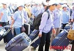 Bản cam kết mẫu |Link tải GG drive 5 Khi đi làm việc ở nước ngoài, người lao động có phải ghi nghĩa vụ không được bỏ trốn?