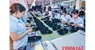 Tư vấn về xin giấy phép cung ứng lao động của Bộ LĐTBXH ?