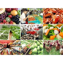 Thủ tục xin giấy phép chứng nhận vệ sinh an toàn thực phẩm ?