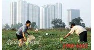 UBND xã có quyền thu hồi đất khai hoang không?