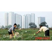 UBND xã có quyền thu hồi đất khai hoang không?