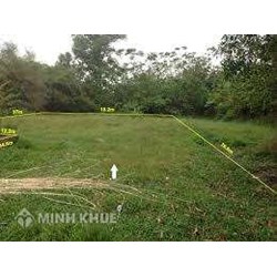 Bán đất vườn phải chịu những loại thuế nào? Có được bán đất khi chưa có sổ đỏ hay không?
