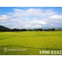 Tư vấn về mức thuế và phí chuyển đổi đất?