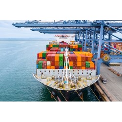 Tư vấn viết hóa đơn xuất khẩu và thủ tục nhập khẩu gỗ ?