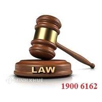 Quy định chuyển đất khai hoang thành đất đấu thầu của UBND xã?