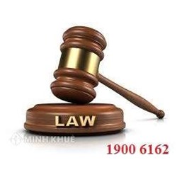 Quy định chuyển đất khai hoang thành đất đấu thầu của UBND xã?