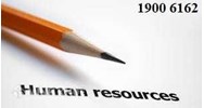 Quyết định tạm cho thôi chức vụ Giám đốc chi nhánh có đúng không?