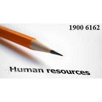 Quyết định tạm cho thôi chức vụ Giám đốc chi nhánh có đúng không?