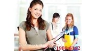 Tư vấn để thương lượng với giám đốc giải quyết tranh chấp hợp đồng lao động, bảo hiểm?