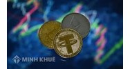 Ngôn ngữ và đồng tiền trong đấu thầu được quy định như thế nào?