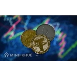 Ngôn ngữ và đồng tiền trong đấu thầu được quy định như thế nào?