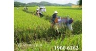 Tư vấn giải quyết tranh chấp đất canh tác khi Bố Mẹ qua đời?