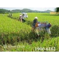Tư vấn giải quyết tranh chấp đất canh tác khi Bố Mẹ qua đời?