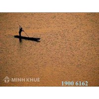 Tư vấn về xử phạt hành chính lĩnh vực văn hóa, văn học, nghệ thuật ?