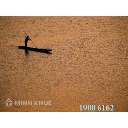 Tư vấn về xử phạt hành chính lĩnh vực văn hóa, văn học, nghệ thuật ?