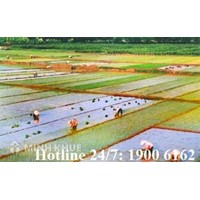 Tư vấn đồn điền đổi thửa ở nông thôn ?