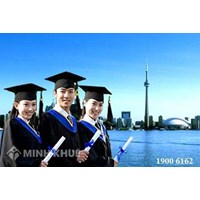 Thủ tục mở công ty tư vấn du học tại Việt Nam ?