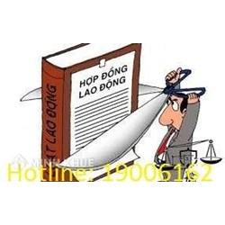 Hậu quả pháp lý khi đơn phương chấm dứt hợp đồng lao động ? Mức bồi thường