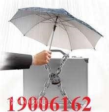 Tư vấn về bảo hiểm hàng hoá trong quá trình vận chuyển ?