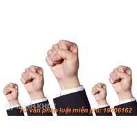Quyết định của Đại hội đồng cổ đông?