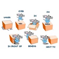 Cách sử dụng "in" trong tiếng anh khi kết hợp với các từ, cụm từ