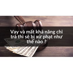Vay và mất khả năng chi trả thì sẽ bị xử phạt như thế nào ?