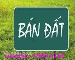 Tư vấn tranh chấp hợp đồng bán đất ?