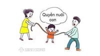 Thủ tục ly hôn đồng thuận hoặc đơn phương cần lưu ý những gì?