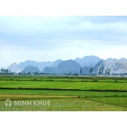 Tư vấn thủ tục và mức thuế phải nộp khi chuyển đất nông nghiệp thành đất ở ?