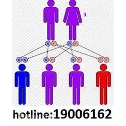 Thế nào là kết hôn trong phạm vi ba đời ?