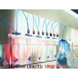 Thủ tục thành lập phòng lab đạt tiêu chuẩn ?