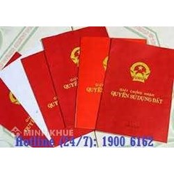 Tư vấn trường hợp kháng cáo nhưng vẫn bị thi hành án ?