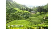 Ủi phẳng đồi để làm nhà có vi phạm pháp luật ? 
