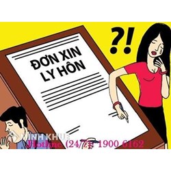 Tư vấn và hướng dẫn viết đơn thuận tình ly hôn?