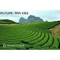 Diện tích tối thiểu tách thửa, thủ tục tách thửa đất tại Hà Nội?
