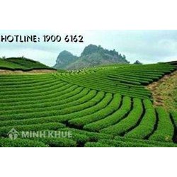 Diện tích tối thiểu tách thửa, thủ tục tách thửa đất tại Hà Nội?