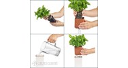 Trồng cây cách ranh giới đất mấy mét thì hợp pháp không?