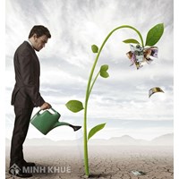 Thắc mắc về thành lập công ty: Vốn tối thiểu là bao nhiêu ?