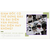 Giám đốc có thể đứng đầu và đại diện văn phòng đại diện không?
