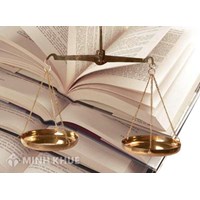 Bố không giao con dù tòa đã xét xử để mẹ nuôi?