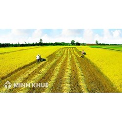 Nguyên tắc bồi thường, hỗ trợ khi thu hồi đất nông nghiệp