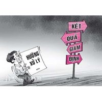 Gây ra tai nạn giao thông trong thì phải bồi thường những gì ?