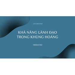 Tư vấn về năng lực hành vi dân sự ?
