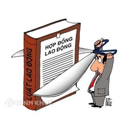 Tư vấn về loại  hợp đồng lao động