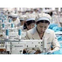 Bảo hiểm cho người lao động được ký kết khi nào?