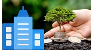 Điều kiện cấp sổ đỏ lần đầu cho tổ chức theo Luật đất đai 2025
