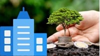 Điều kiện cấp sổ đỏ lần đầu cho tổ chức theo Luật đất đai 2025