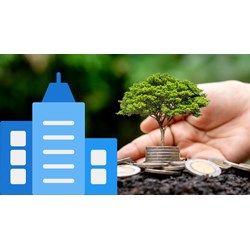 Điều kiện cấp sổ đỏ lần đầu cho tổ chức theo Luật đất đai 2025