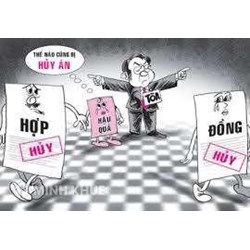 Các trường hợp giao dịch dân sự bị vô hiệu ?