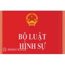 Đi vay và không còn khả năng thanh toán có chịu trách nhiệm hình sự không ?